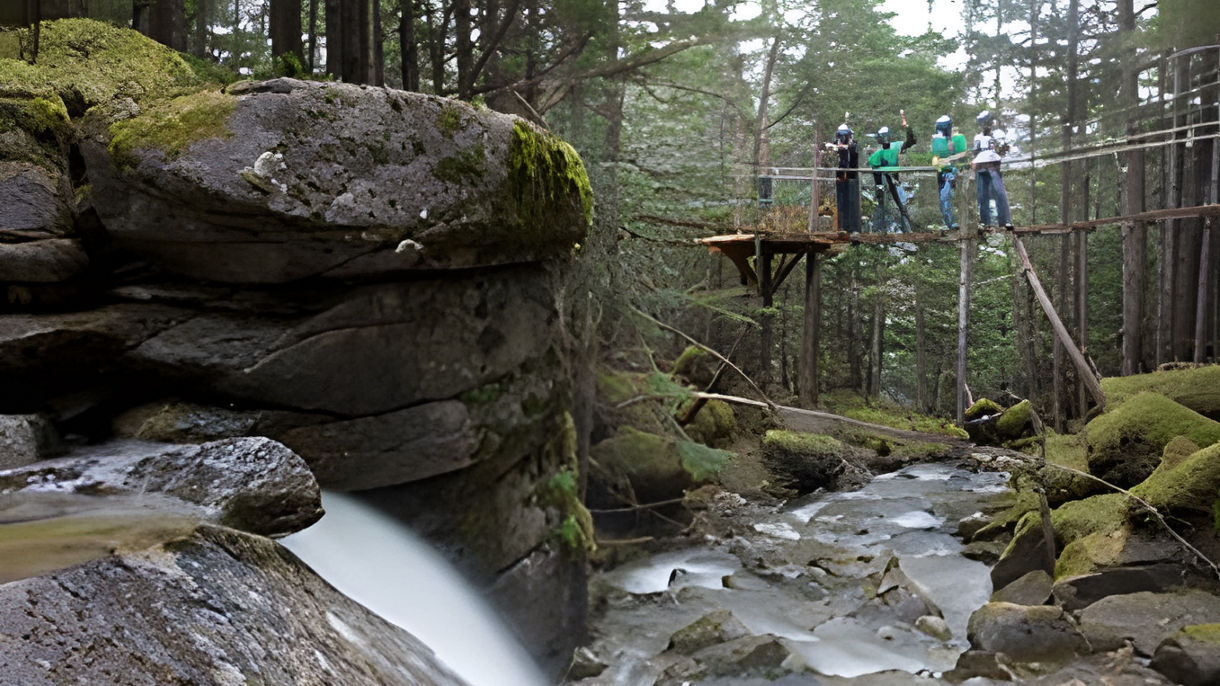 Grizzly Falls Ziplining Expedition