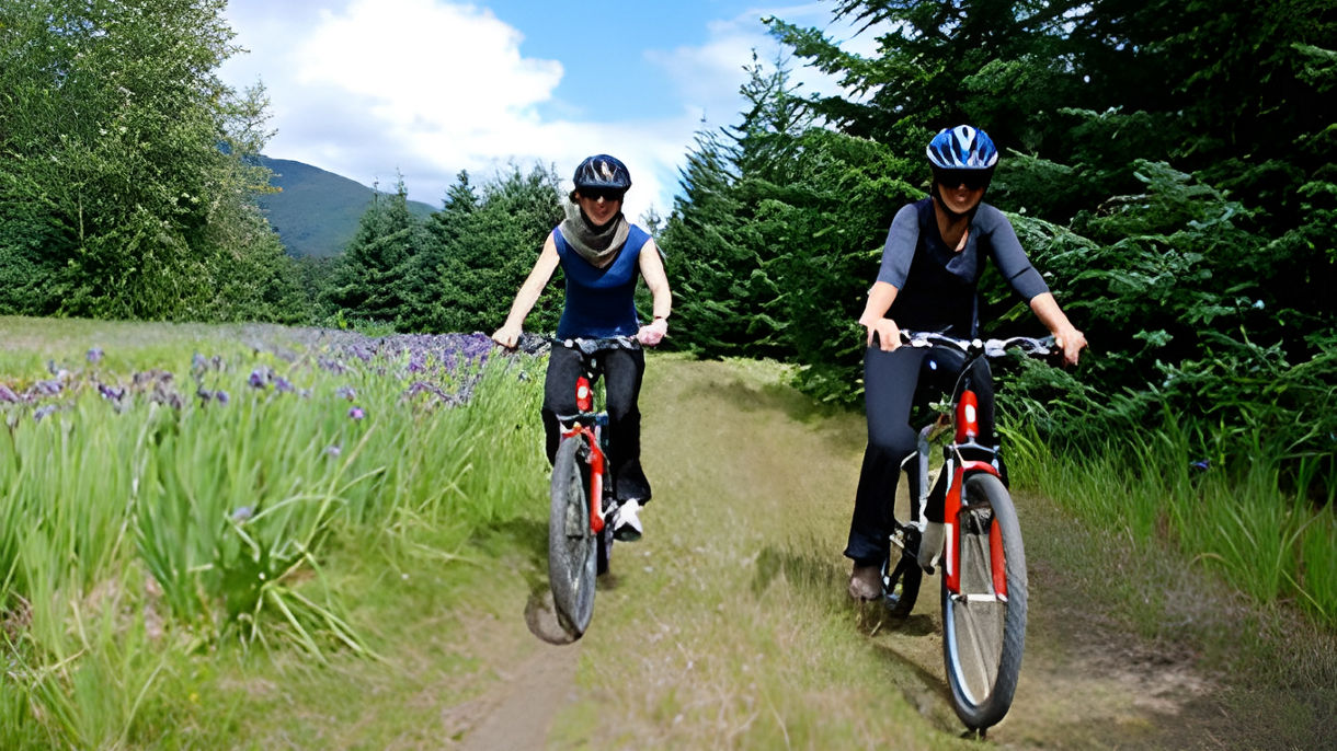 Rainforest Bicycle Tour