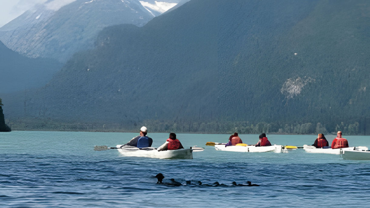 Chilkoot Lake Kayak Experience