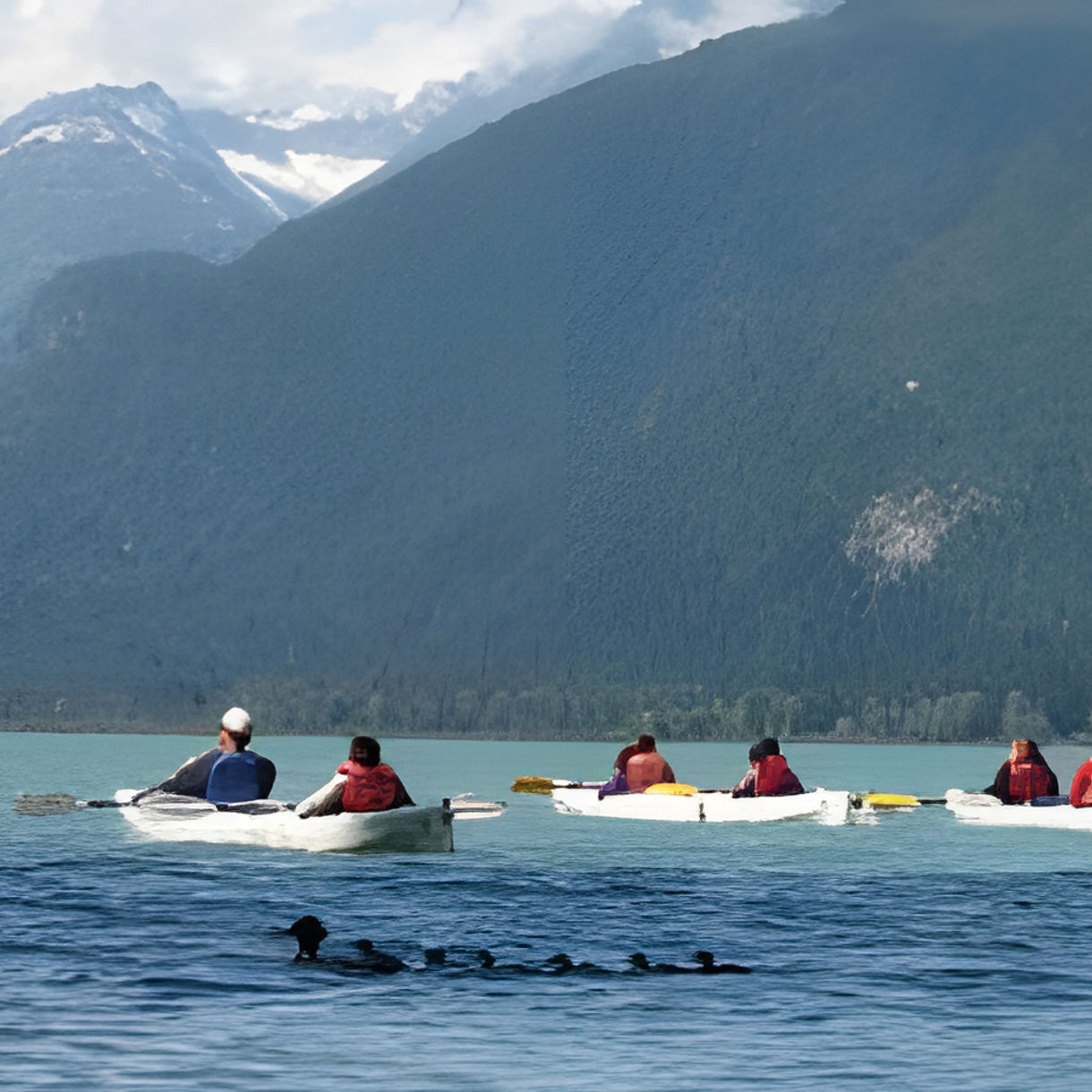Chilkoot Lake Kayak Experience