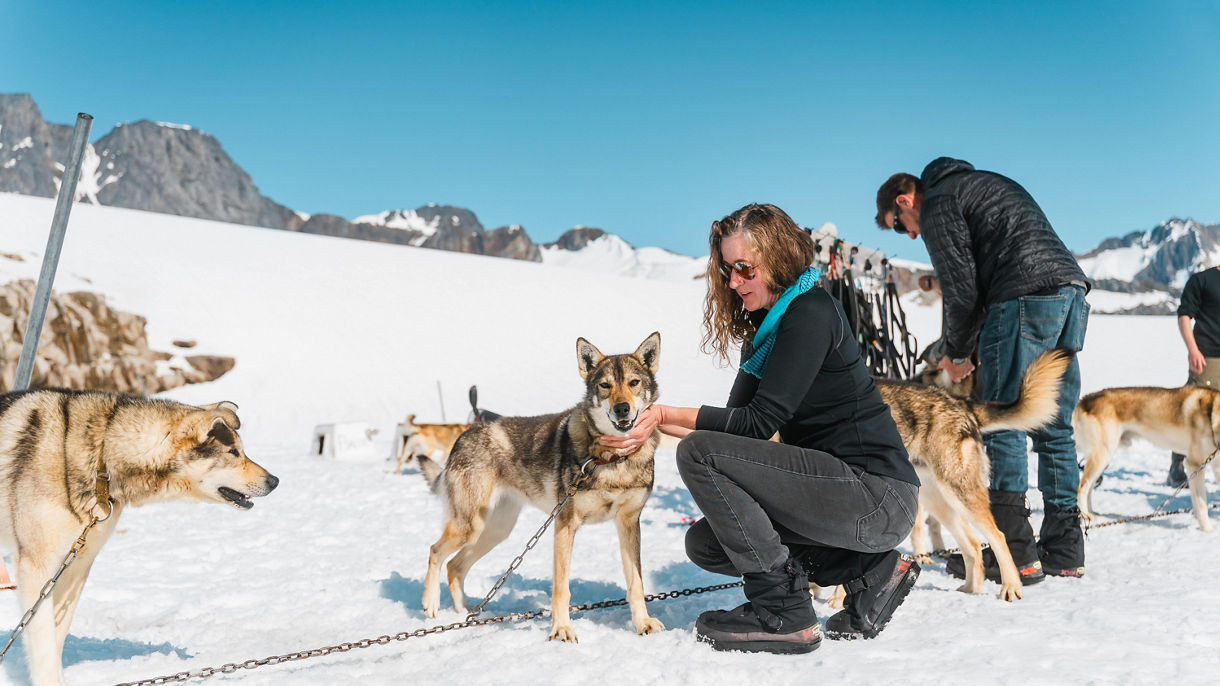 Glacier Dog Sledding Demonstration by Helicopter