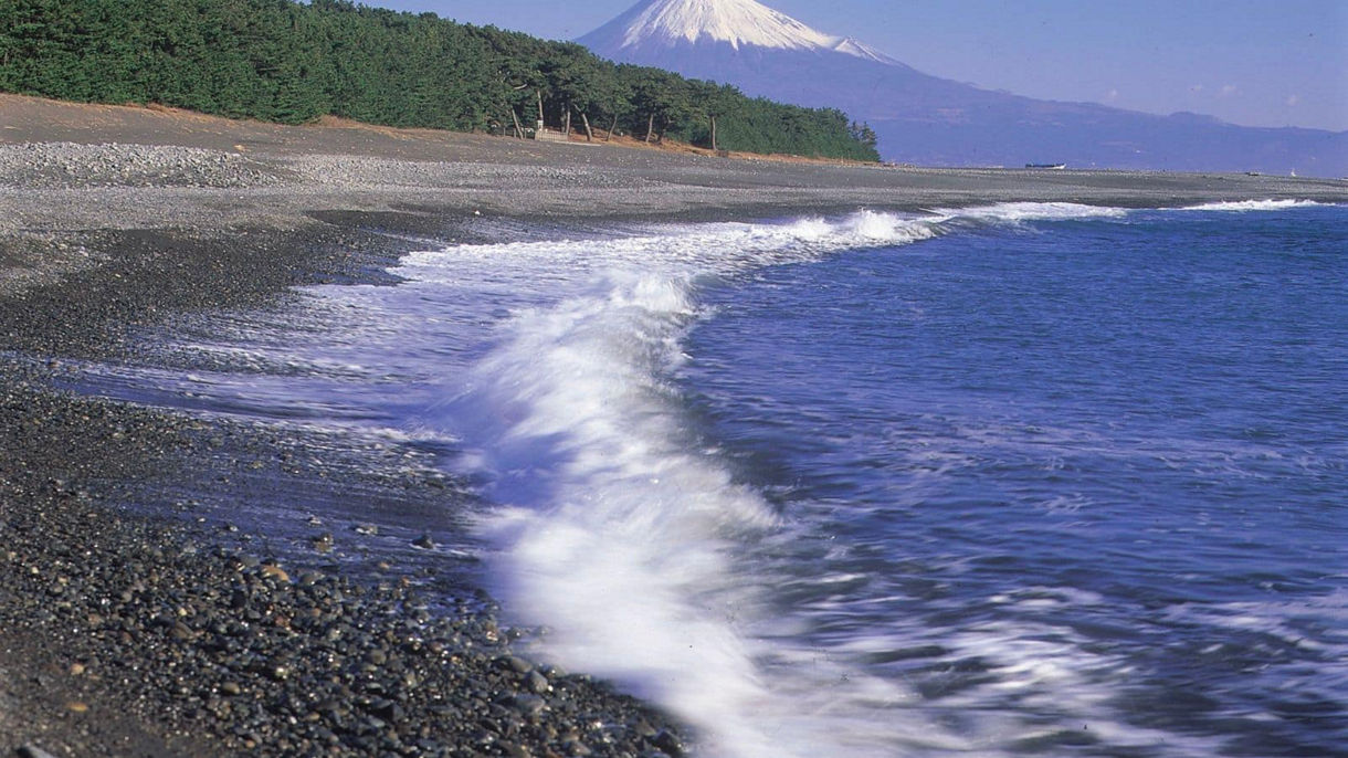 Views of Mt.Fuji, Tea Ceremony and Japanese Garden
