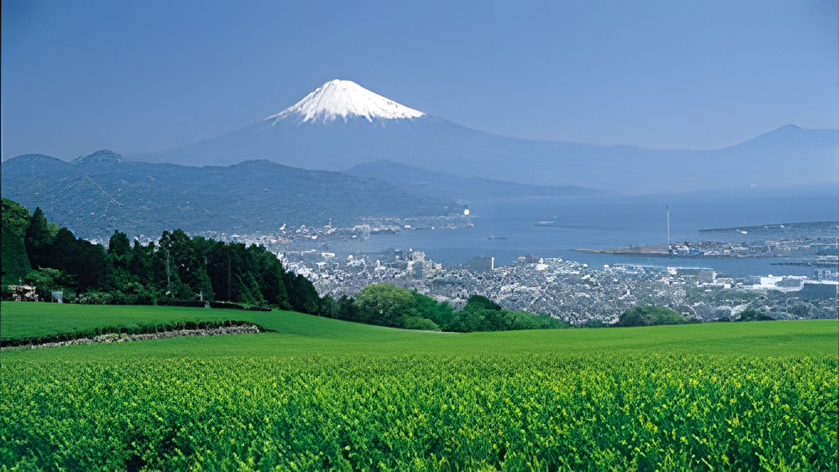 Nihondaira Outlook & Kunozan Toshogu Shrine