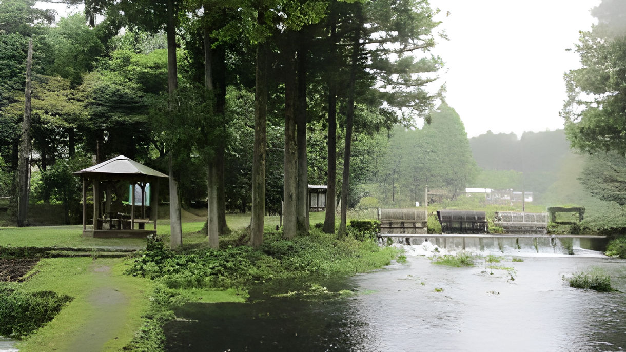 Local Connections:  Farms of Wasabi & Trout