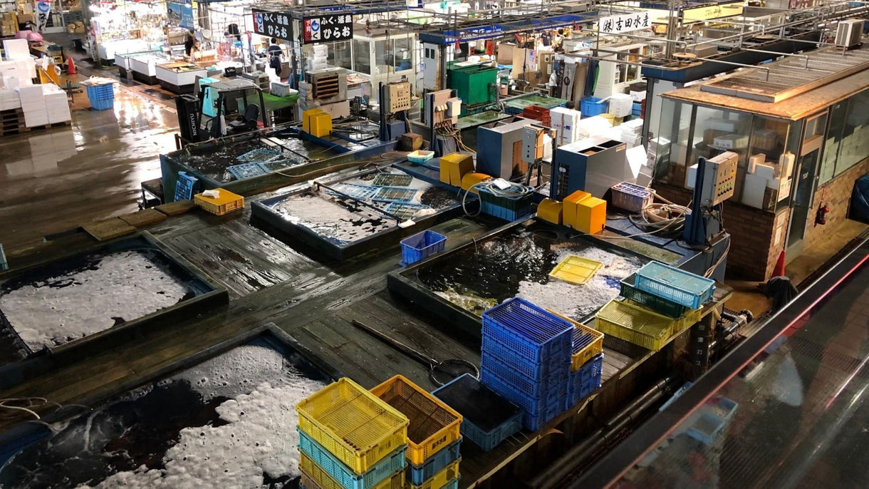 Akiyoshido Cave and Karato Market