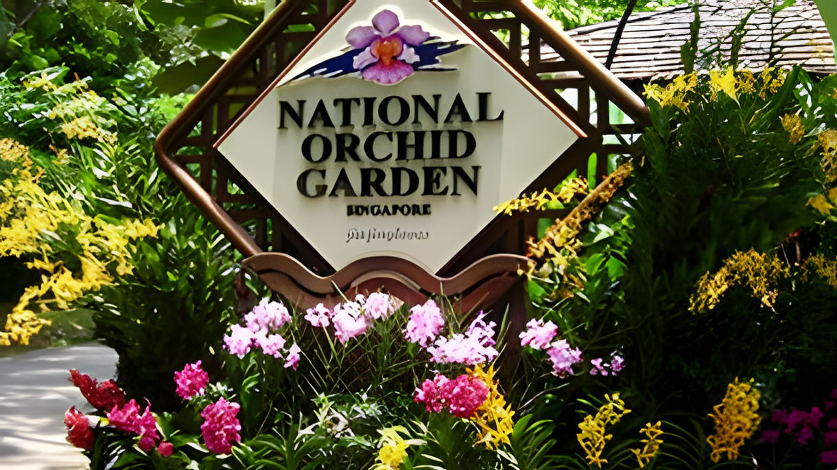 Debark Tour - Discover Singapore