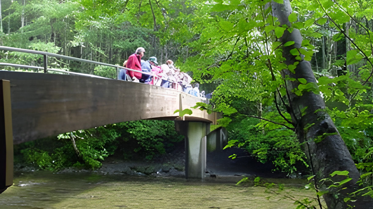 All About Sitka - Russian & Tlingit Heritage Discovery