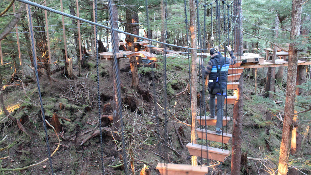 Treetop Aerial Ropes Adventure