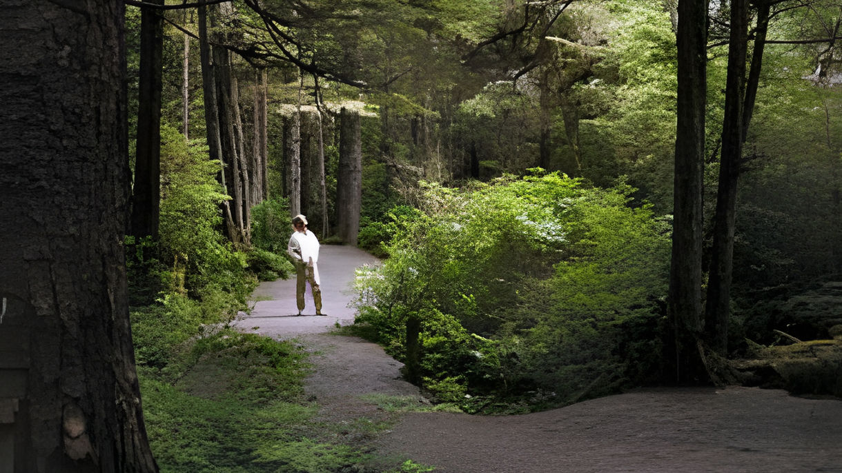 Alaska Raptor Center & Rainforest City Walk
