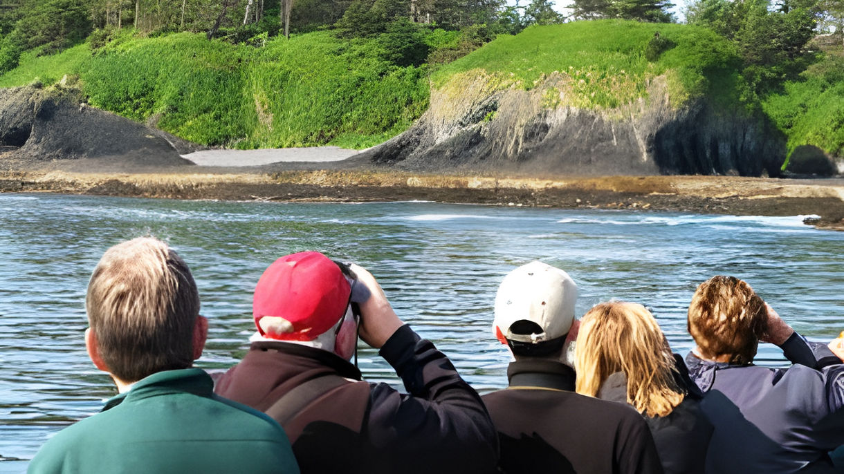 Sea Otter & Wildlife Quest