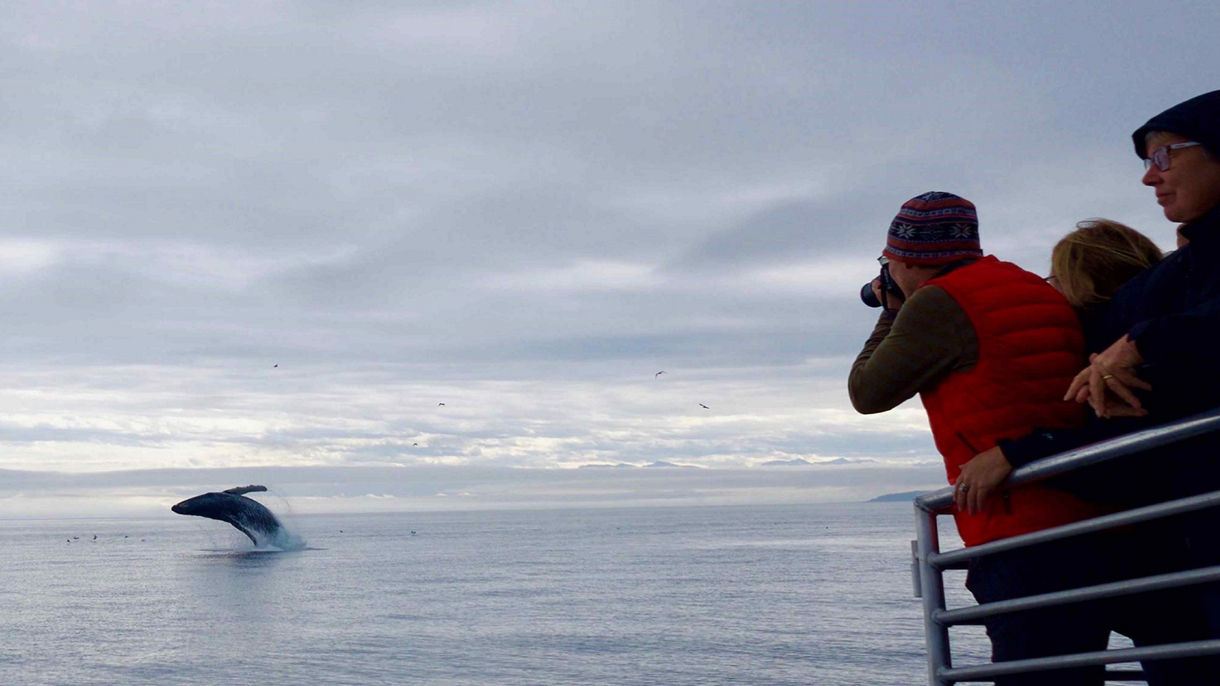 Wildlife Quest & Fin Island Lodge