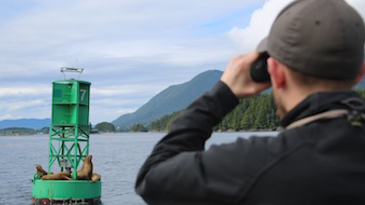 Marine Expedition & Wildlife Quest