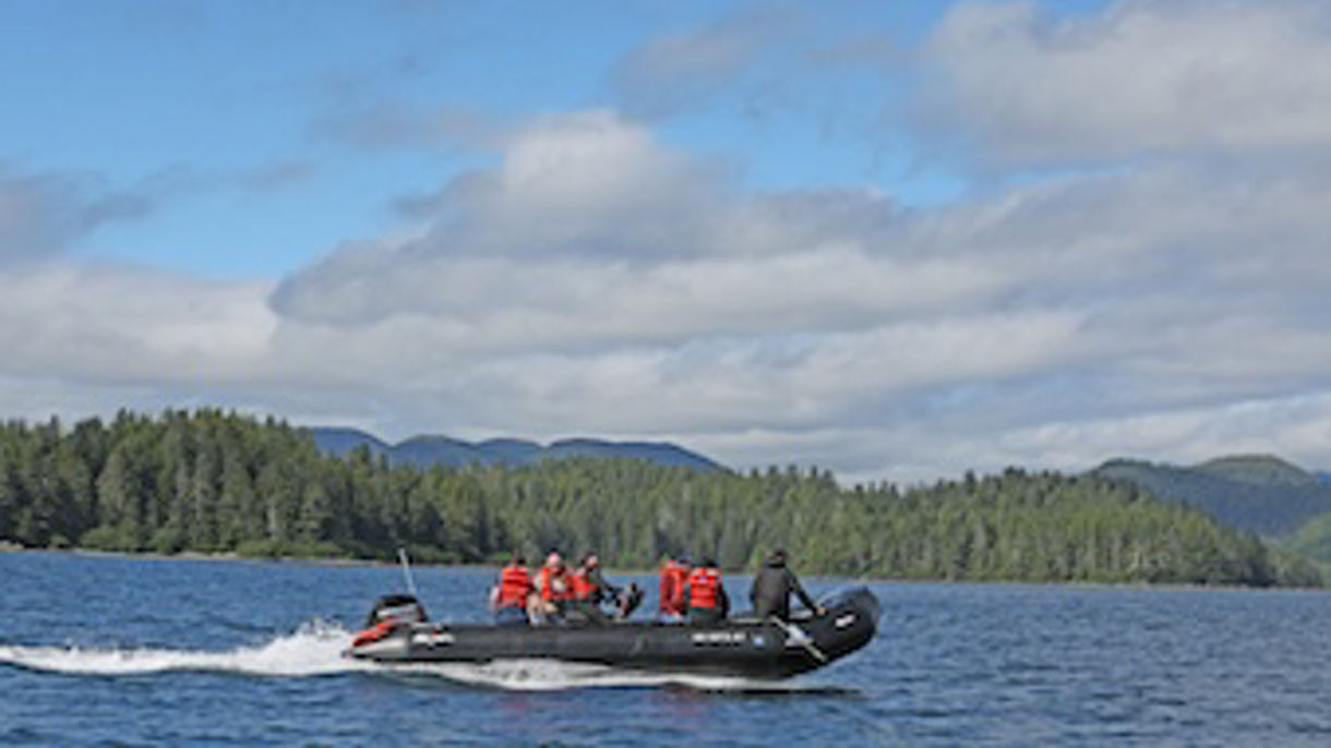 Marine Expedition Cruise & Fin Island Lodge