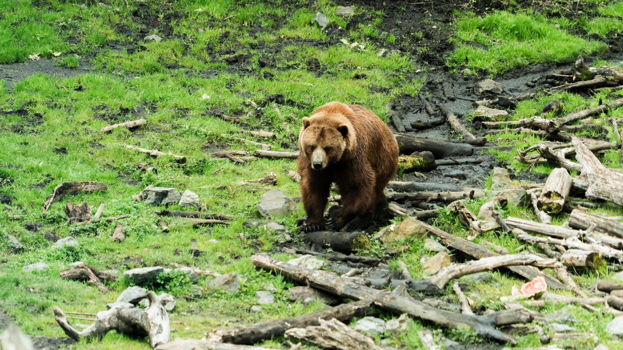 Private Sitka by Land & Sea