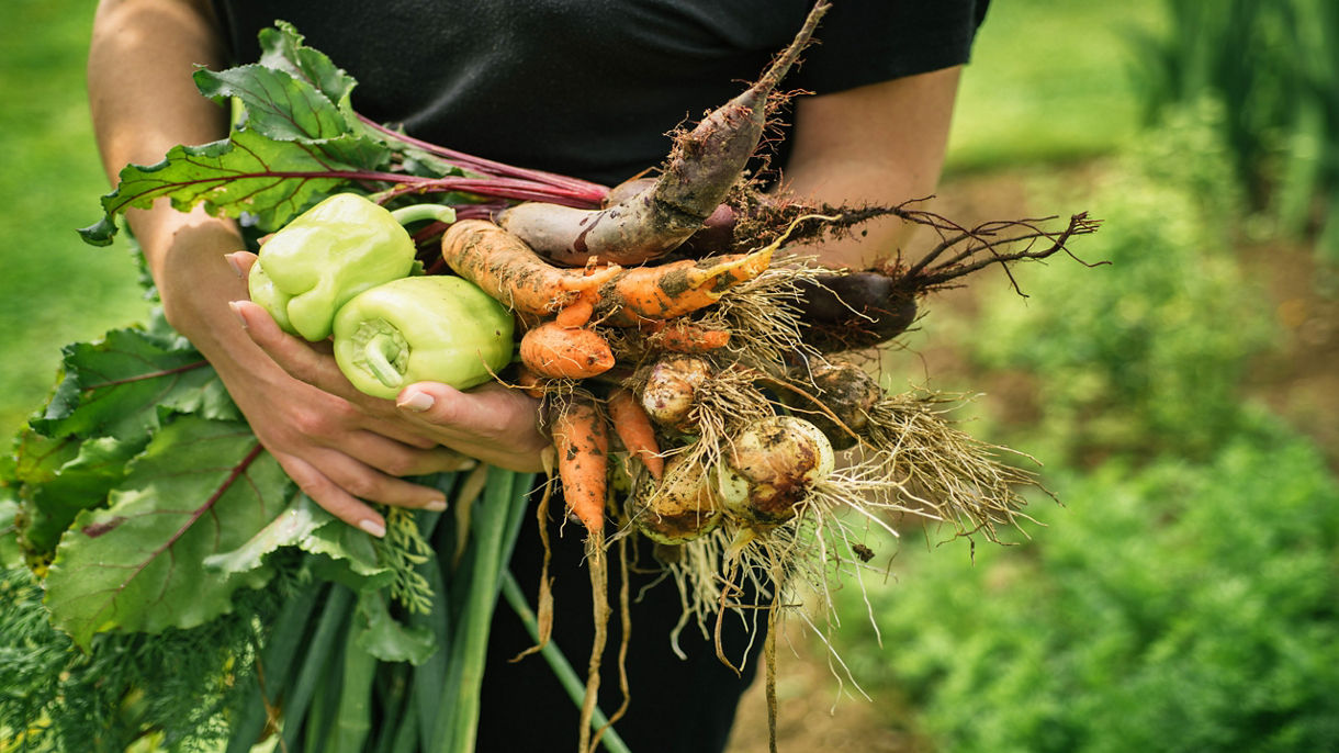 Local Connections: Arts, Culture & Farm-to-Table Food Experience with Chef Enrique Silva