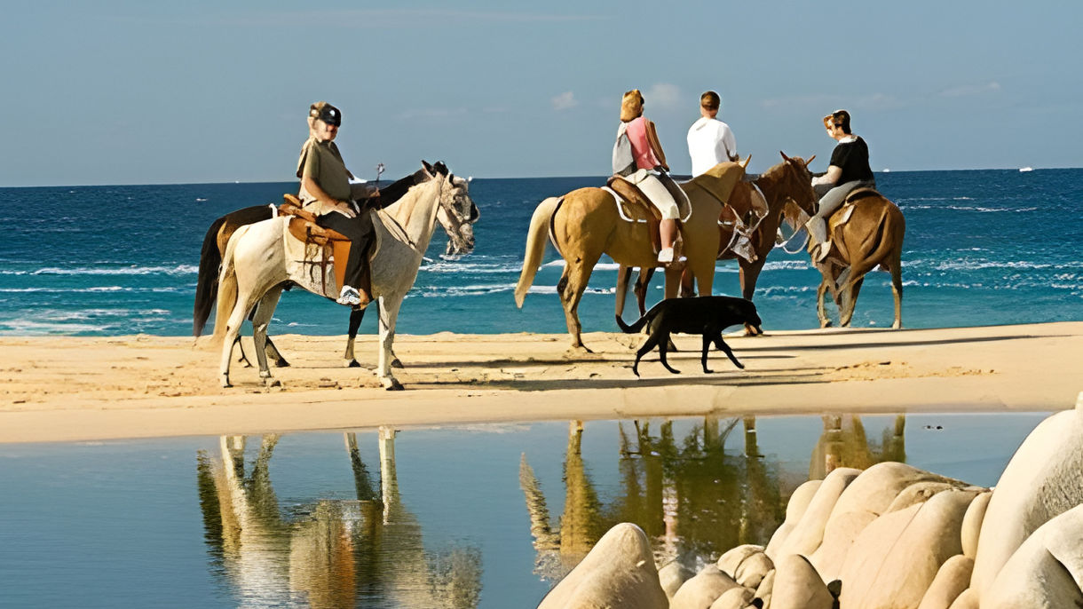 Beach Horseback Ride