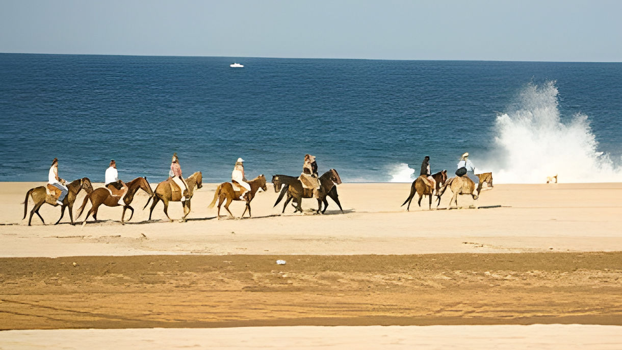 Beach Horseback Ride