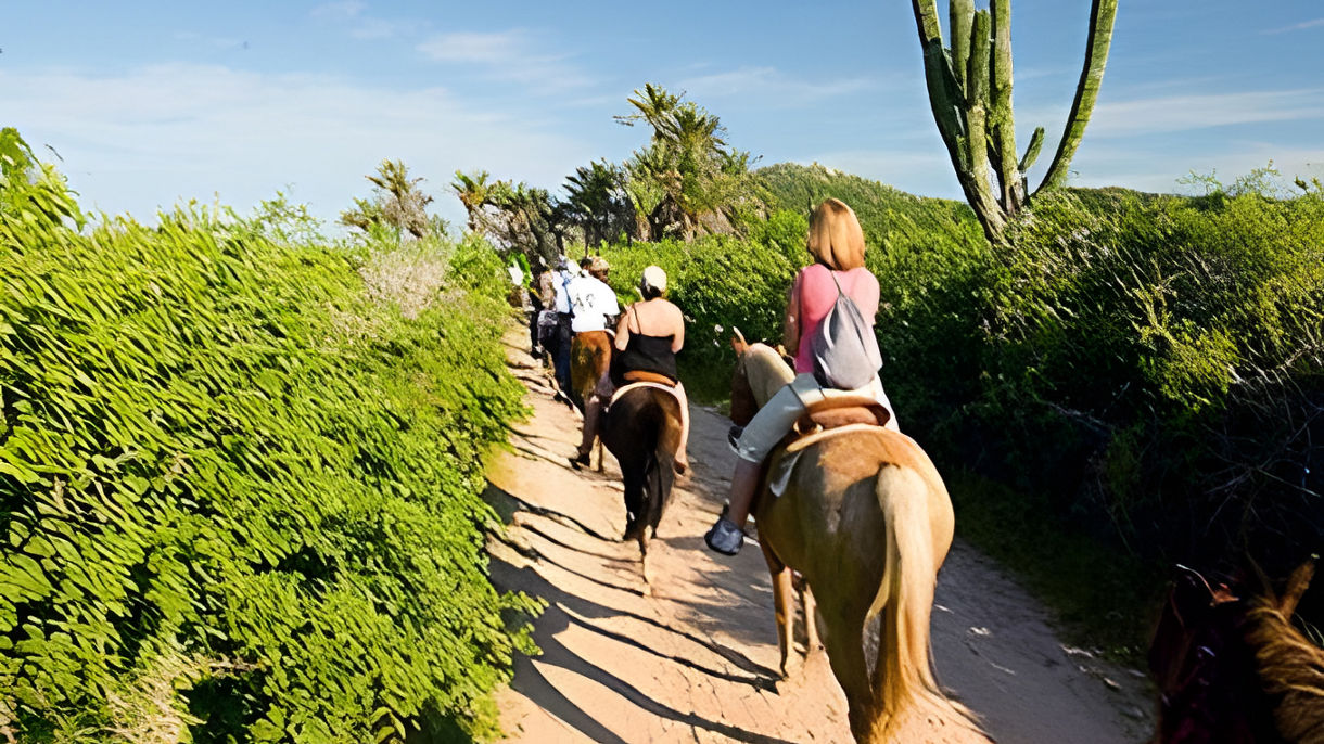 Beach Horseback Ride