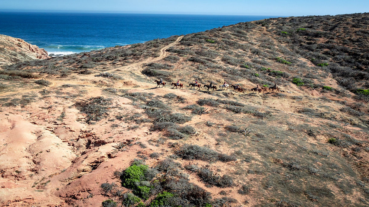 Beach and Desert Horseback Ride & Beach Break