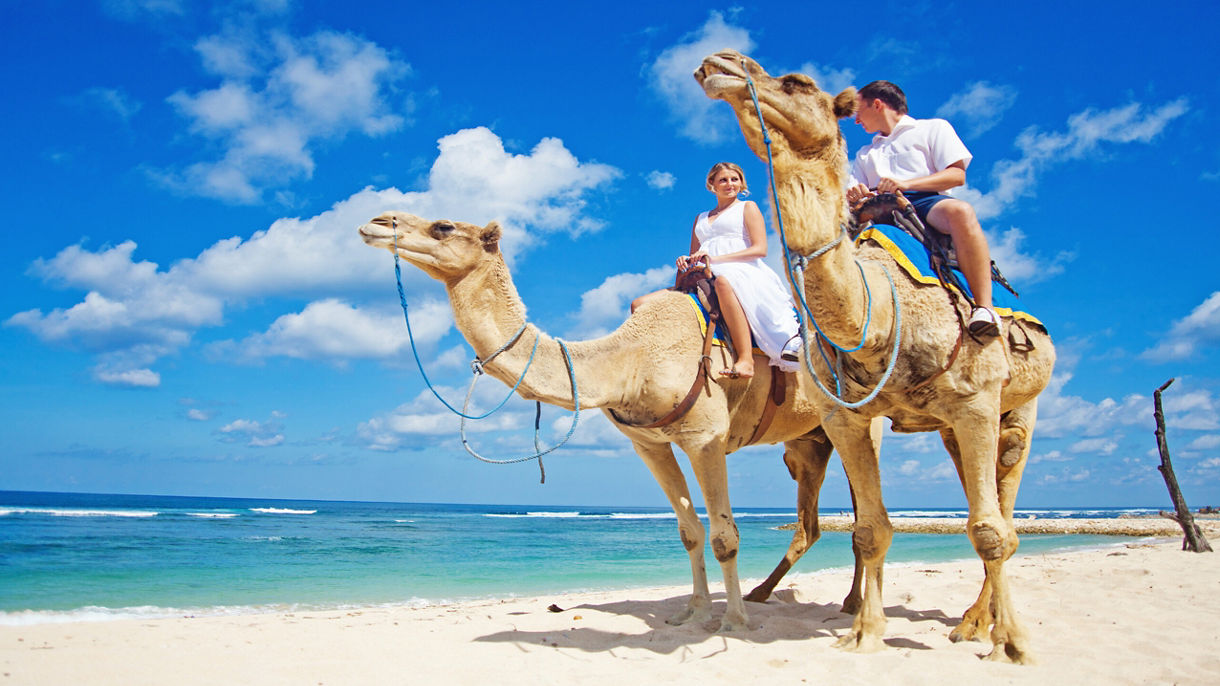 Camel and Mexican Outback Adventure