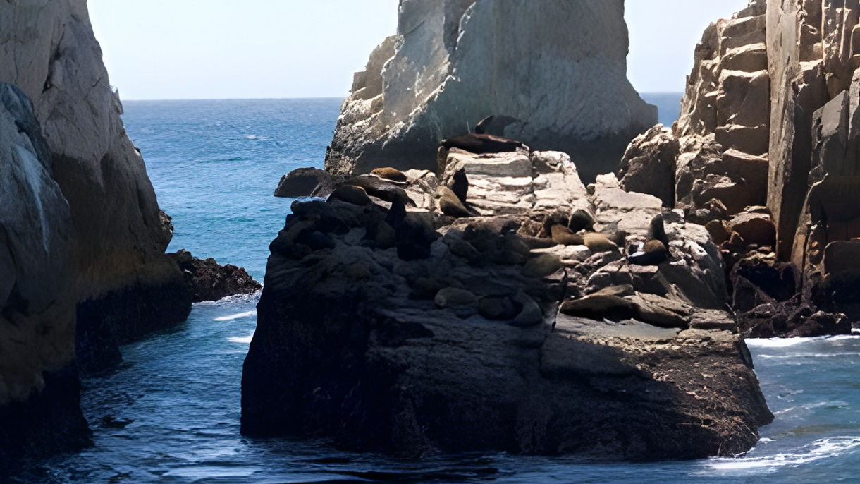 Cabo Coastal Cruise: The Arch, Lovers' Beach & Sea Lion Colony