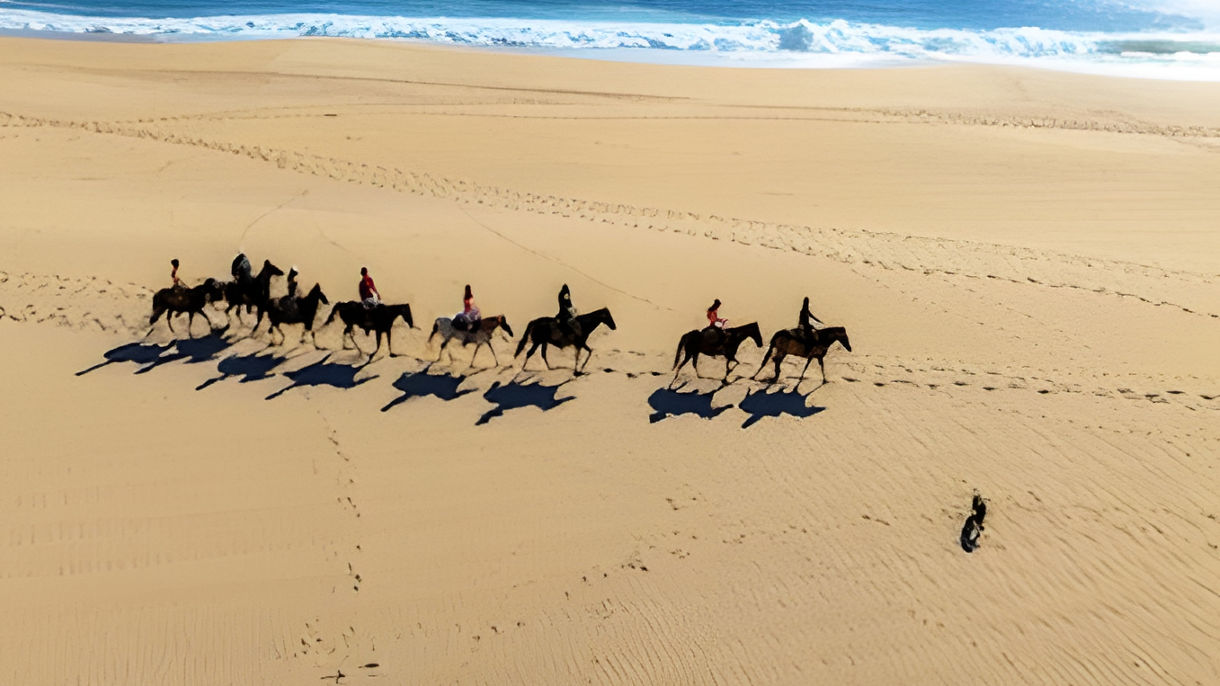 Sunset Beach Horseback Ride, Taco Feast & Tequila