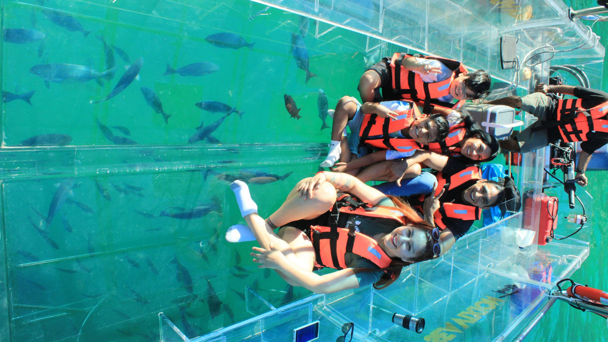 Transparent Boat Adventure: Marine Wonders, Land's End and Los Arcos