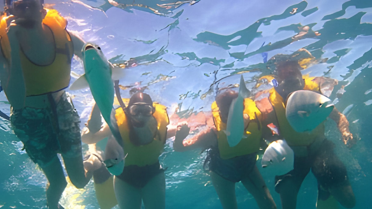 Santa Maria Cove Sail & Snorkel