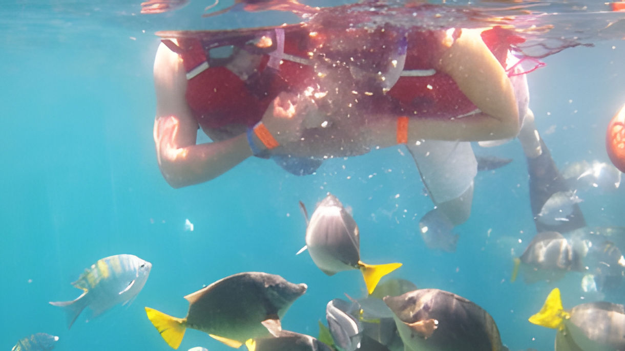 Chileno Bay Sail & Snorkel