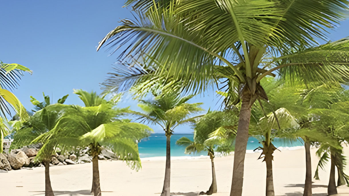 Beach Escape at Vivo Beach Club
