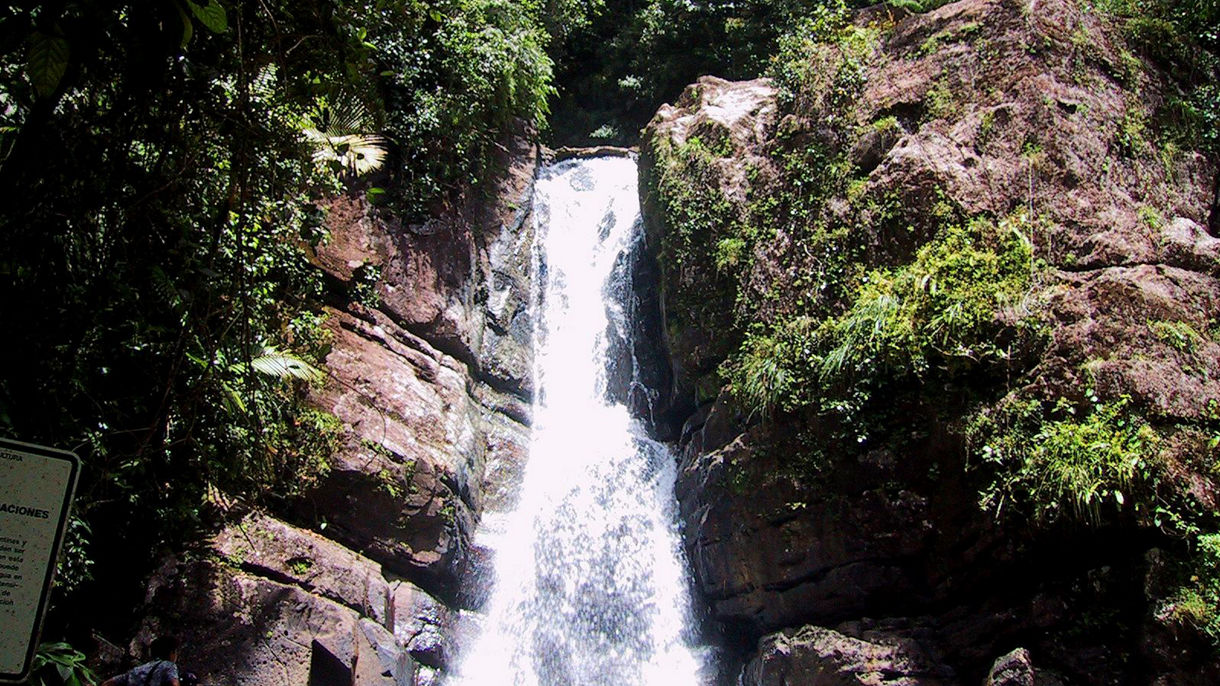 Debark Tour - El Yunque National Rainforest Drive & Airport Transfer