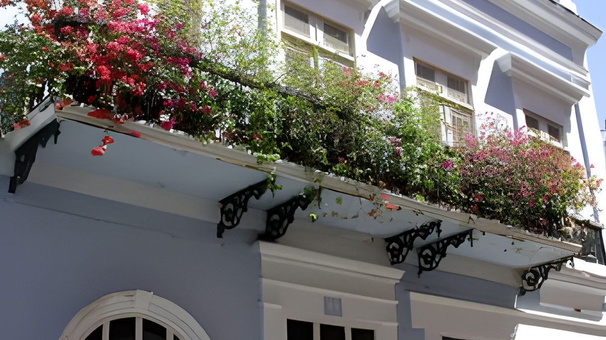 Old San Juan & Fortress Guided Walking Tour