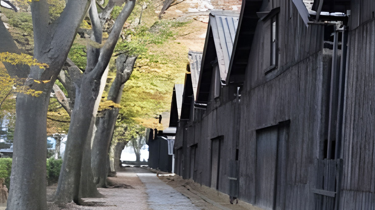 Highlights of Sakata