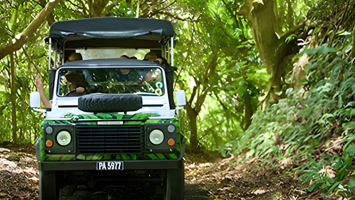 4X4 Island Safari & Beach