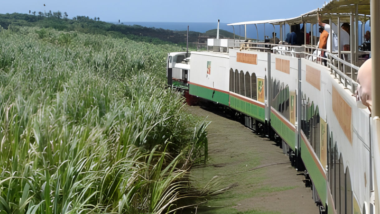 Scenic Railway Ride & Coastal Cruise