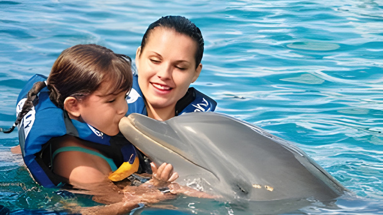 Dolphin Encounter