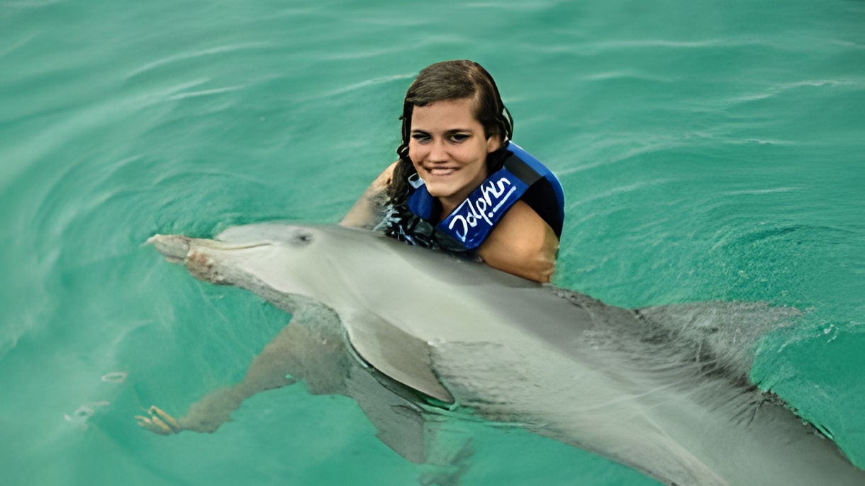 Dolphin Swim