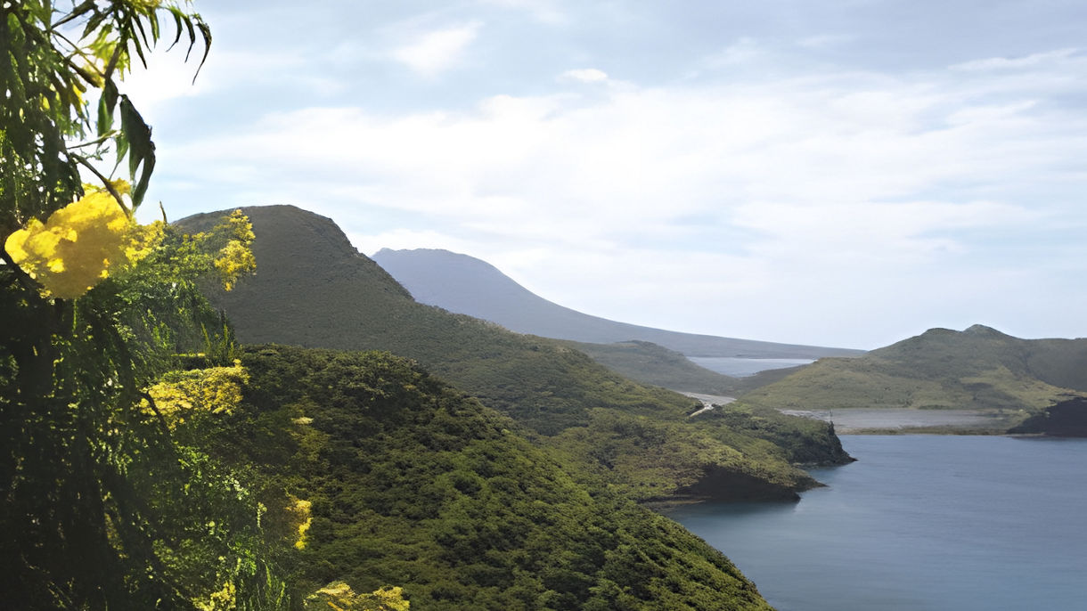 Coastal Kayaking, Snorkel & Scenic Drive