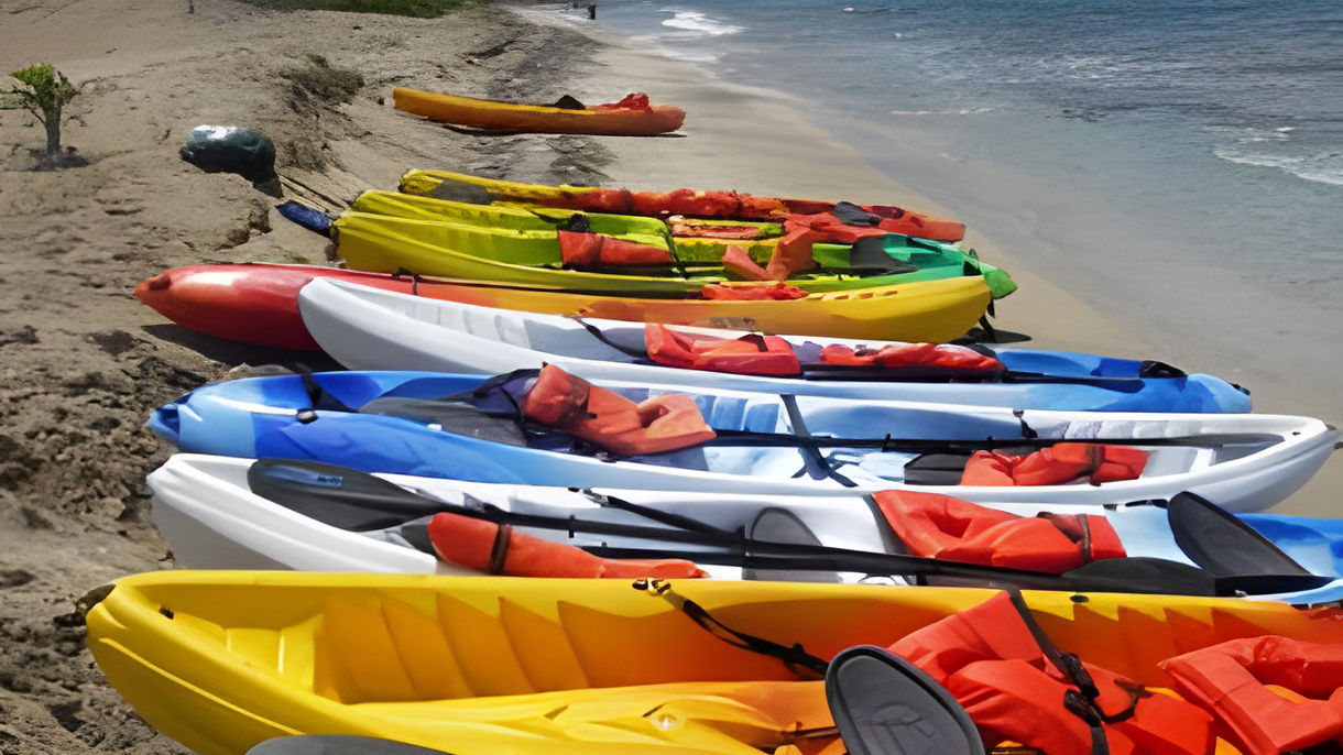Coastal Kayaking, Snorkel & Scenic Drive