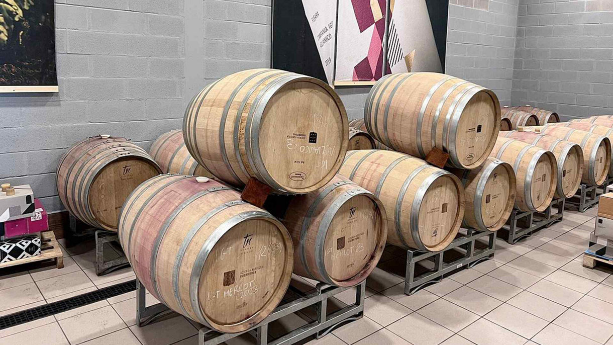 Salerno Uncorked