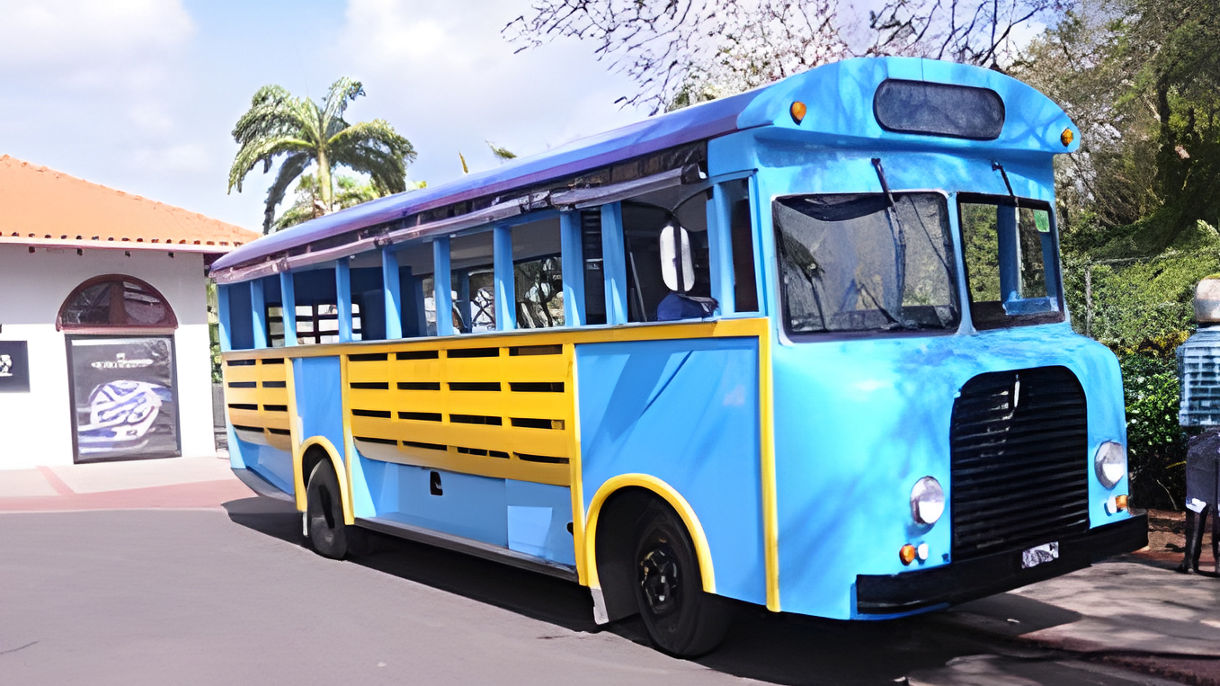 Local Connections: Lucian Open Fun Bus Tour & Beach Time with Local Personality