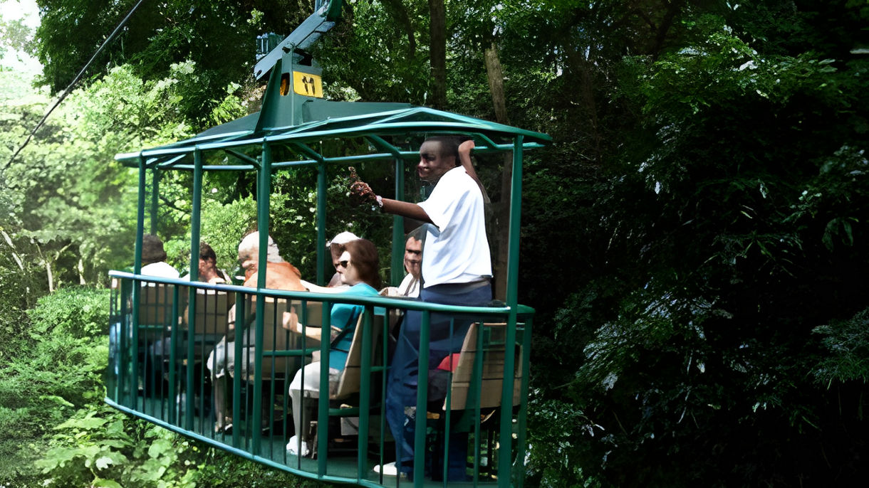 Rainforest Aerial Tram & Scenic Drive