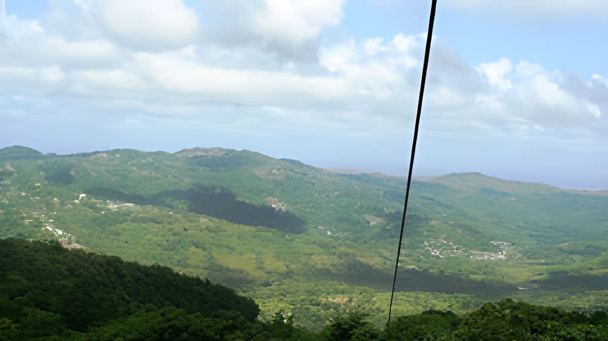 Rainforest Aerial Tram & Scenic Drive