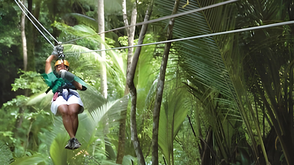Rainforest Canopy Zipline Adventure & Scenic Drive