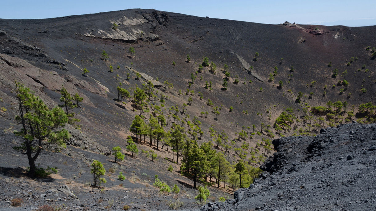 The Best of La Palma: Volcano & Nature