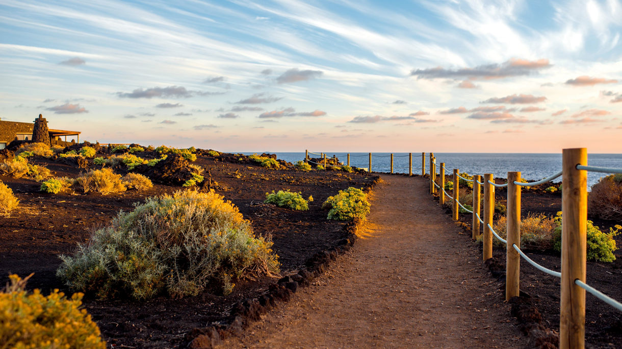 A Taste of La Palma: Vineyard & Volcano