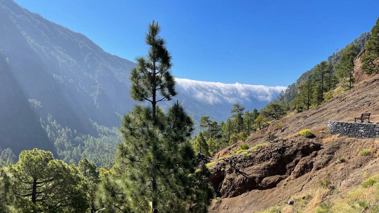 La Palma off the beaten path by 4x4 bus: a small group tour