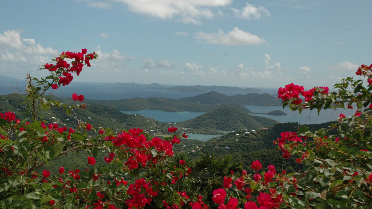 Easy St. John Cruise & Panoramic Drive
