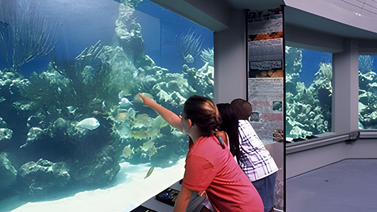 Coral World Ocean Park & Beach