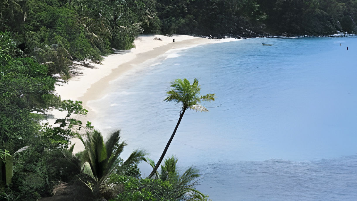 St. John Scenic Cruise, Eco-Hike & Beach